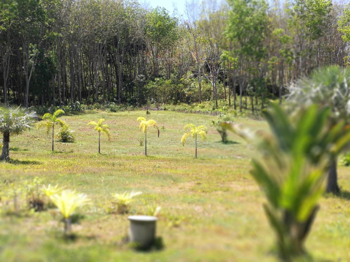 Palm Garden House Appartement Ko Lanta Buitenkant foto
